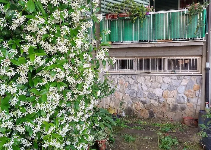 Near Station